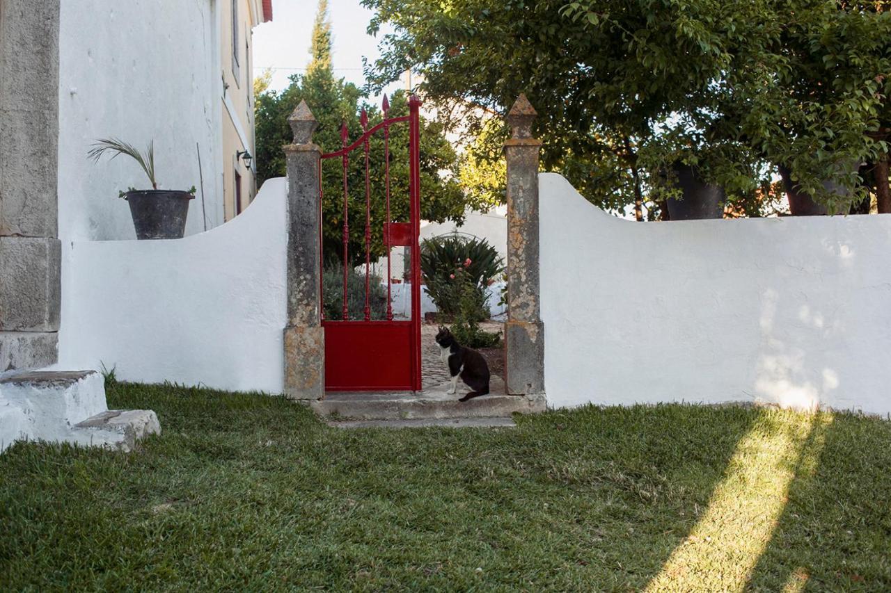 Casa Das Alfazemas Com Piscina, Jardim E Snooker Adao Lobo Luaran gambar